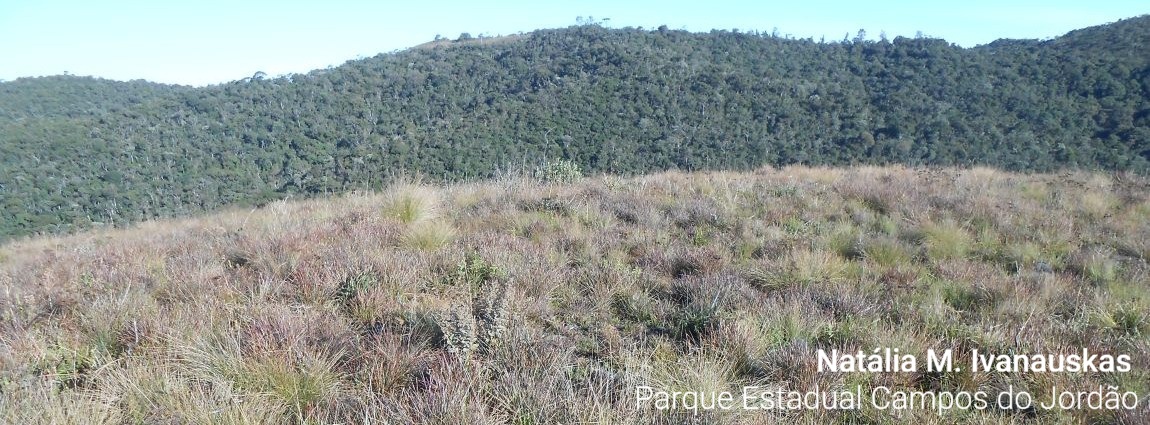 Parque Estadual de Campos do Jordão